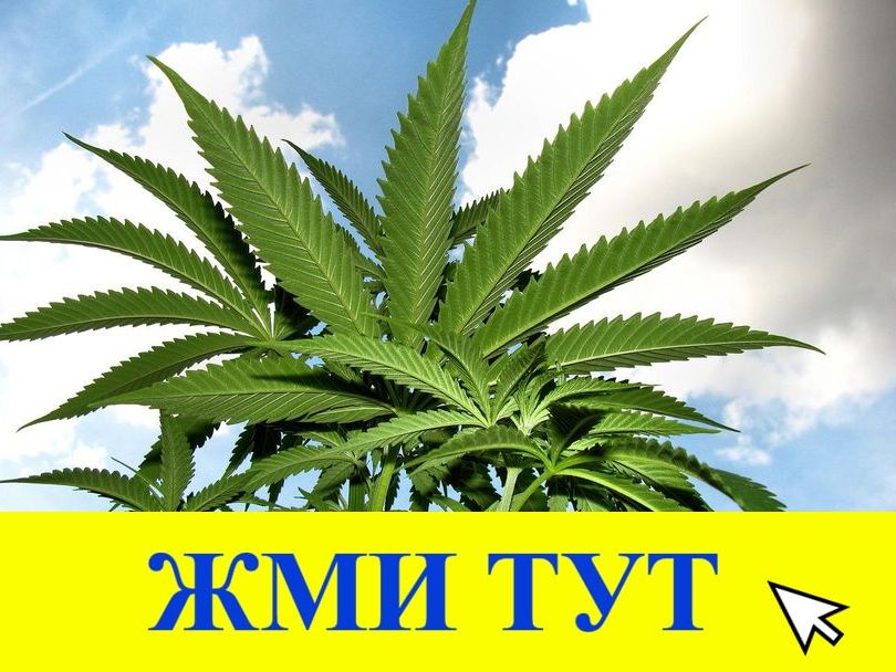 Купить наркотики в Рыбинске